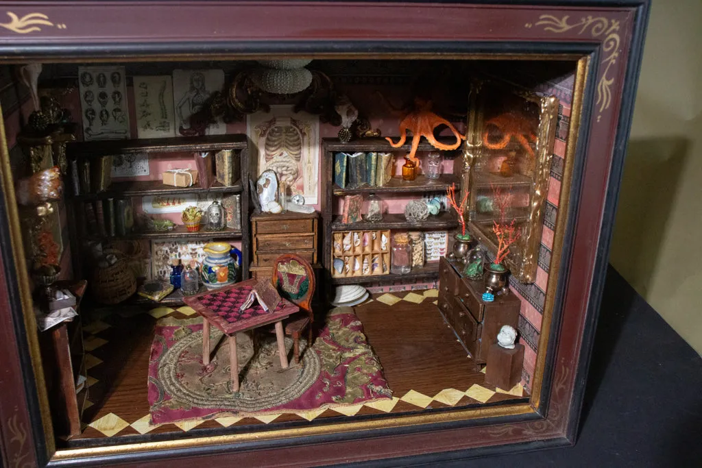 Diorama of a Cabinet of Curiosities Room by Coral Hunger Coad