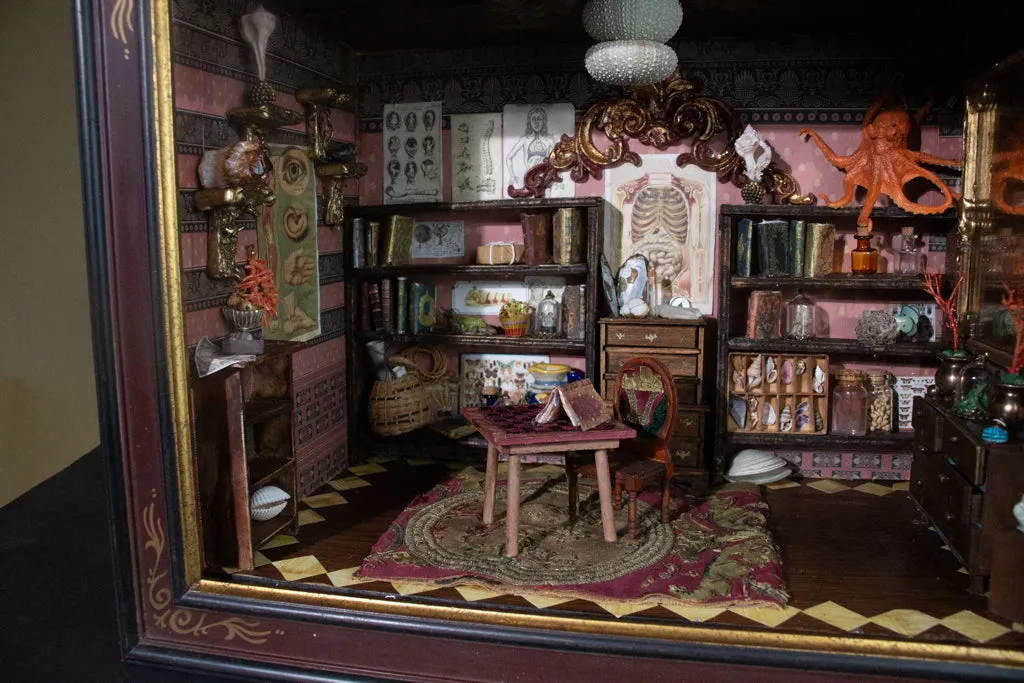 Diorama of a Cabinet of Curiosities Room by Coral Hunger Coad
