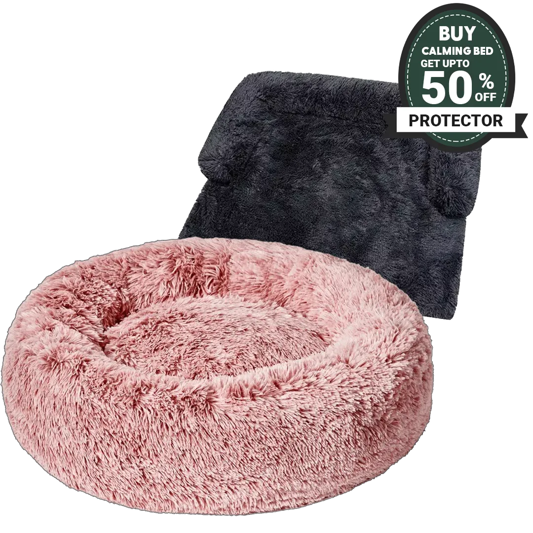 Dog Calming with Furniture Protector Bed