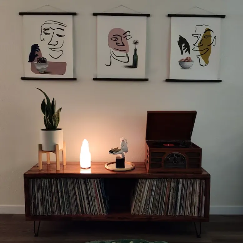 Rec Vinyl Record Storage