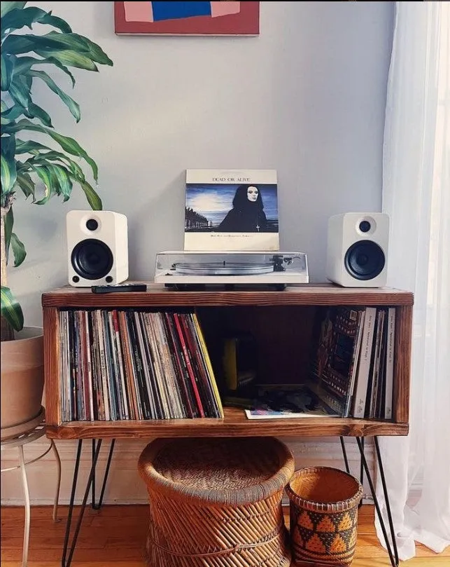 Rec Vinyl Record Storage